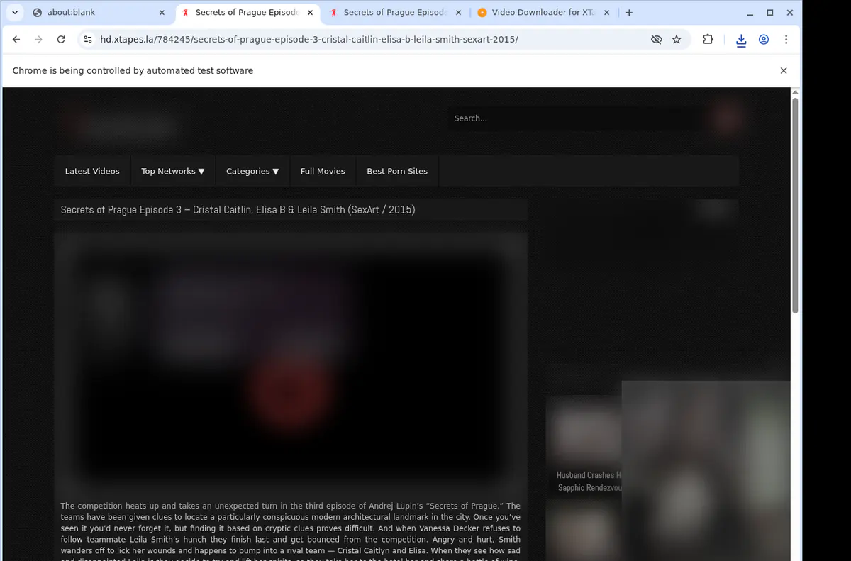 Xtapes Video Downloader browser extension screenshot 2