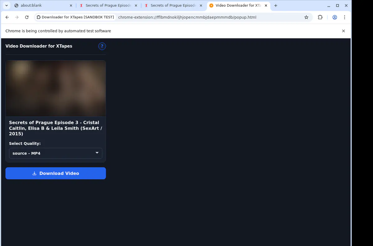Xtapes Video Downloader browser extension screenshot 3