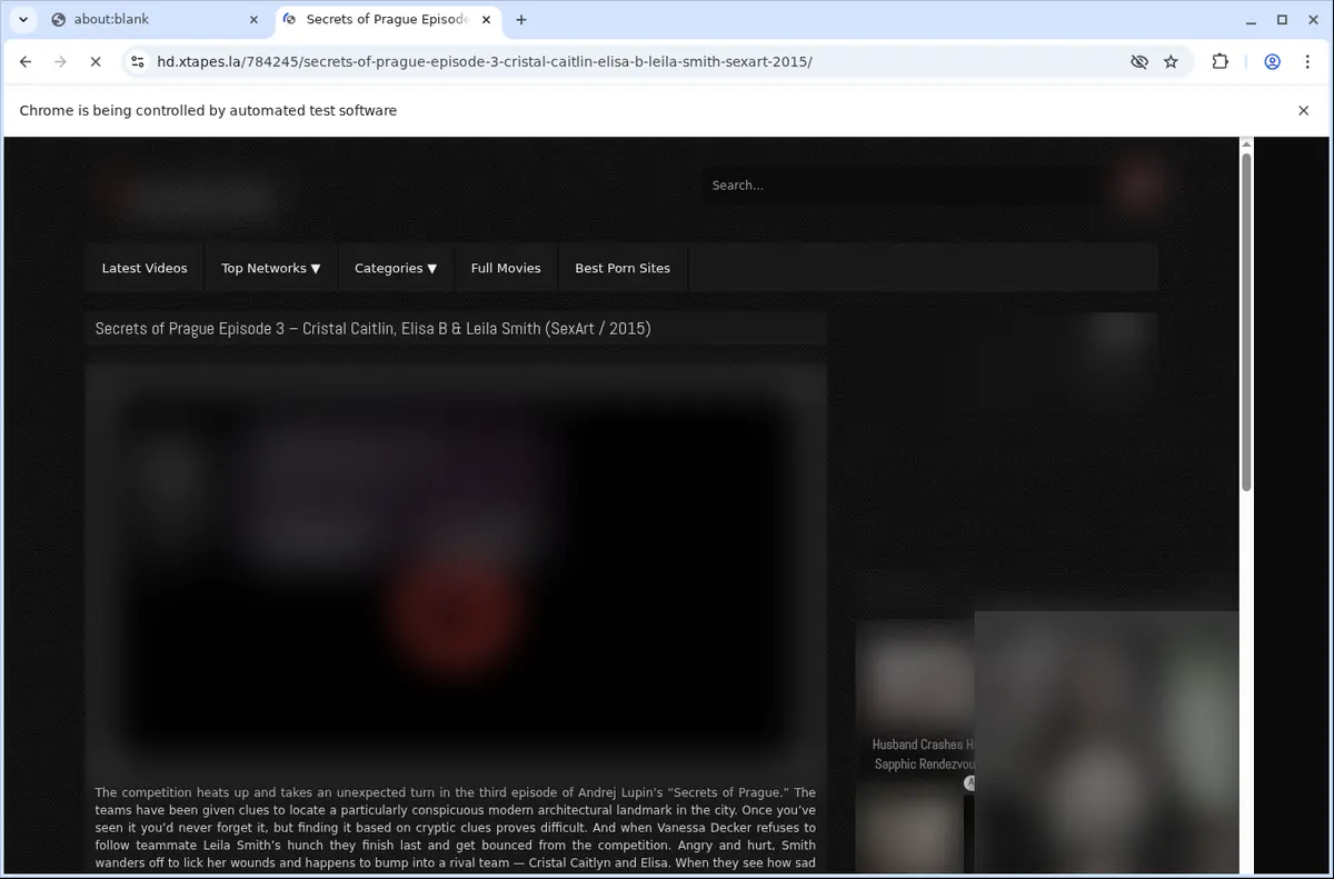 Xtapes Video Downloader browser extension screenshot 5